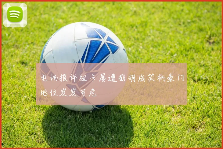 电讯报评纽卡屡遭截胡成笑柄豪门地位岌岌可危